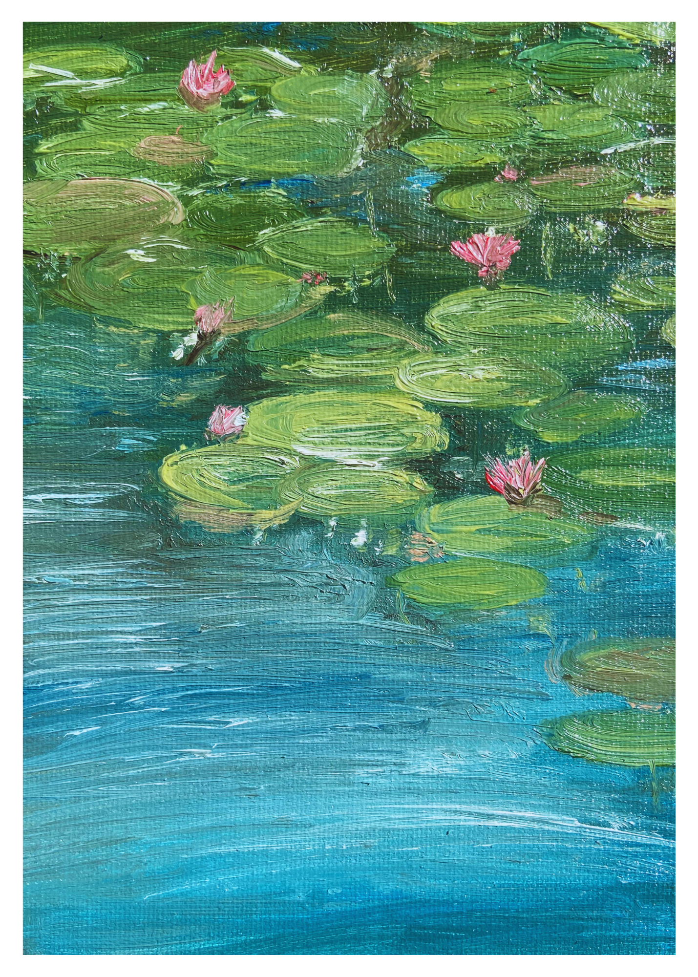 The Water Lily